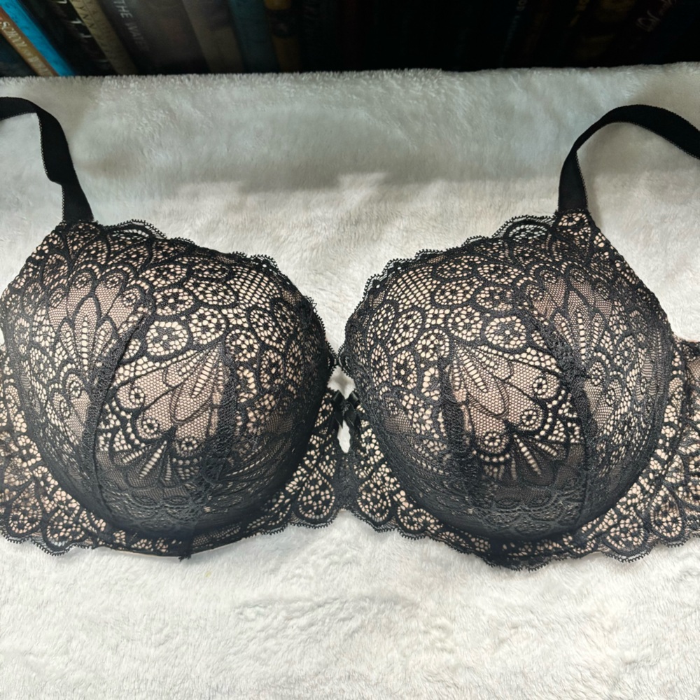 Torrid Curve bra
